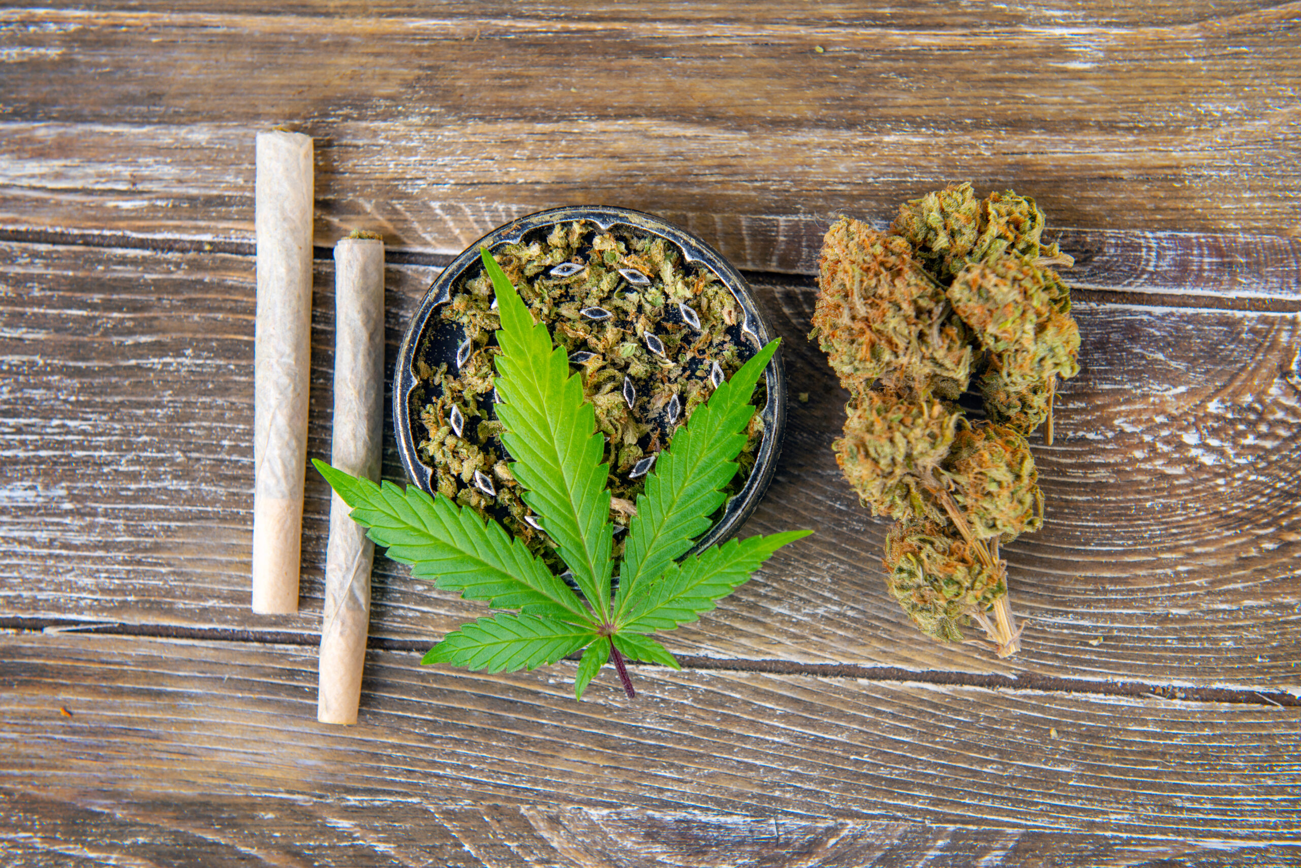 Cannabis club hamburg mit Fokus auf Qualität
