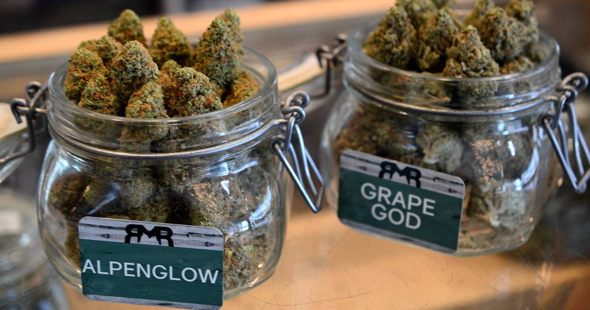 Why Tourists Trust Cannabis Clubs Lloret de Ma