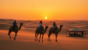 Marrakech camel ride and quad biking adventure in Agafay Desert at sunset, showcasing tourists on camels against golden dunes.