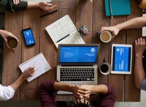 WordPress Website Development